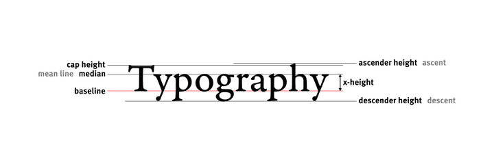 What is typography?